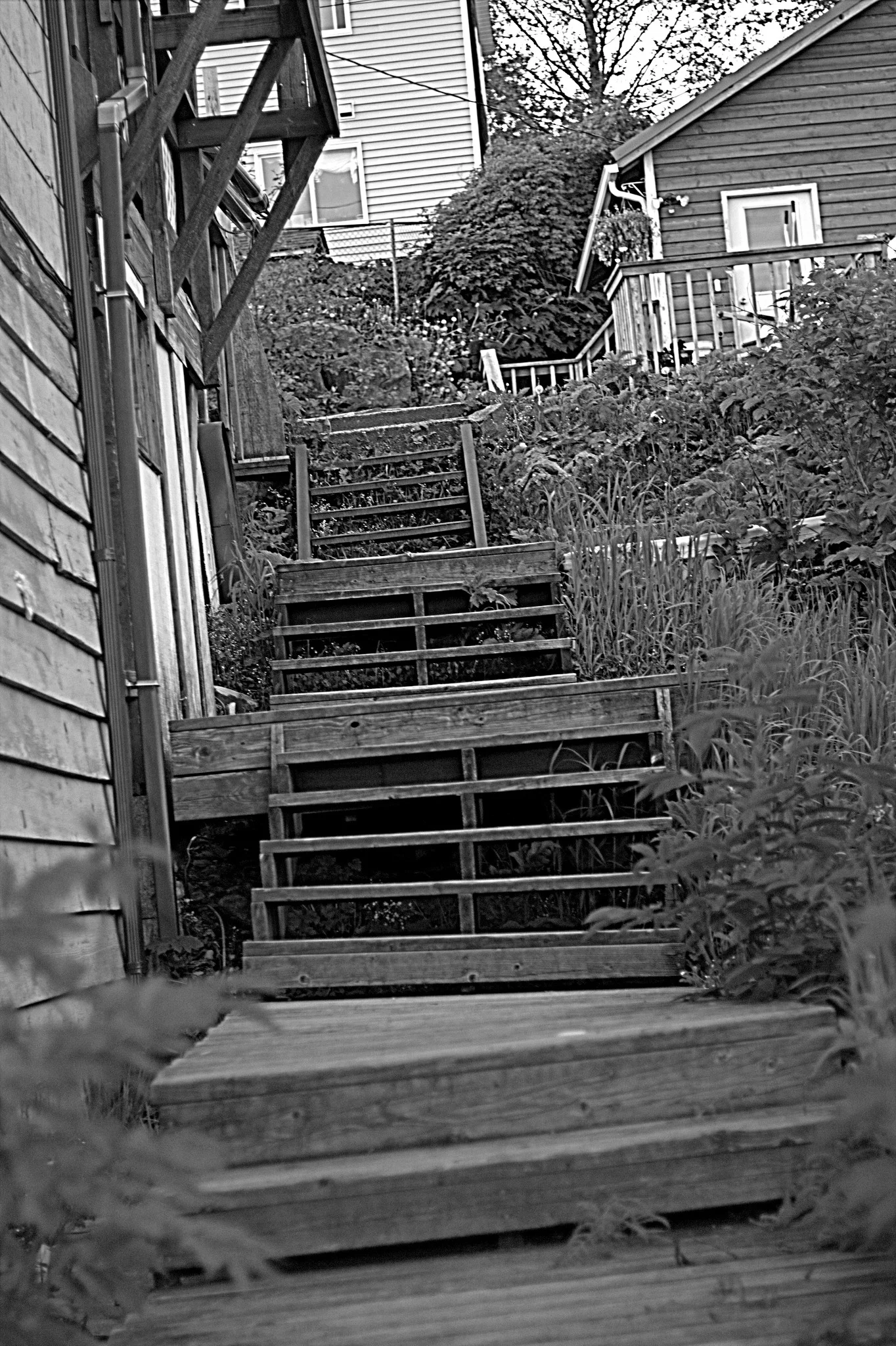 sitka steps