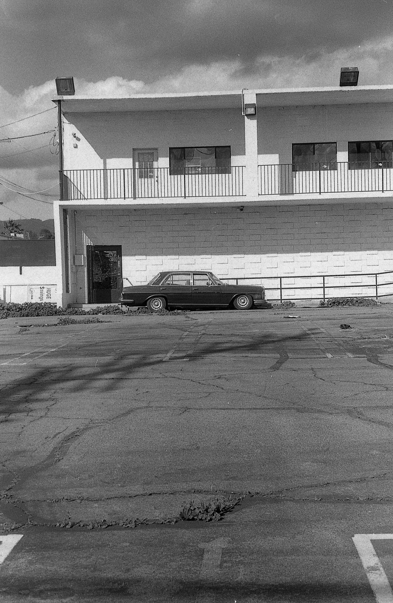 apx100 rodinal anscomark018.jpg