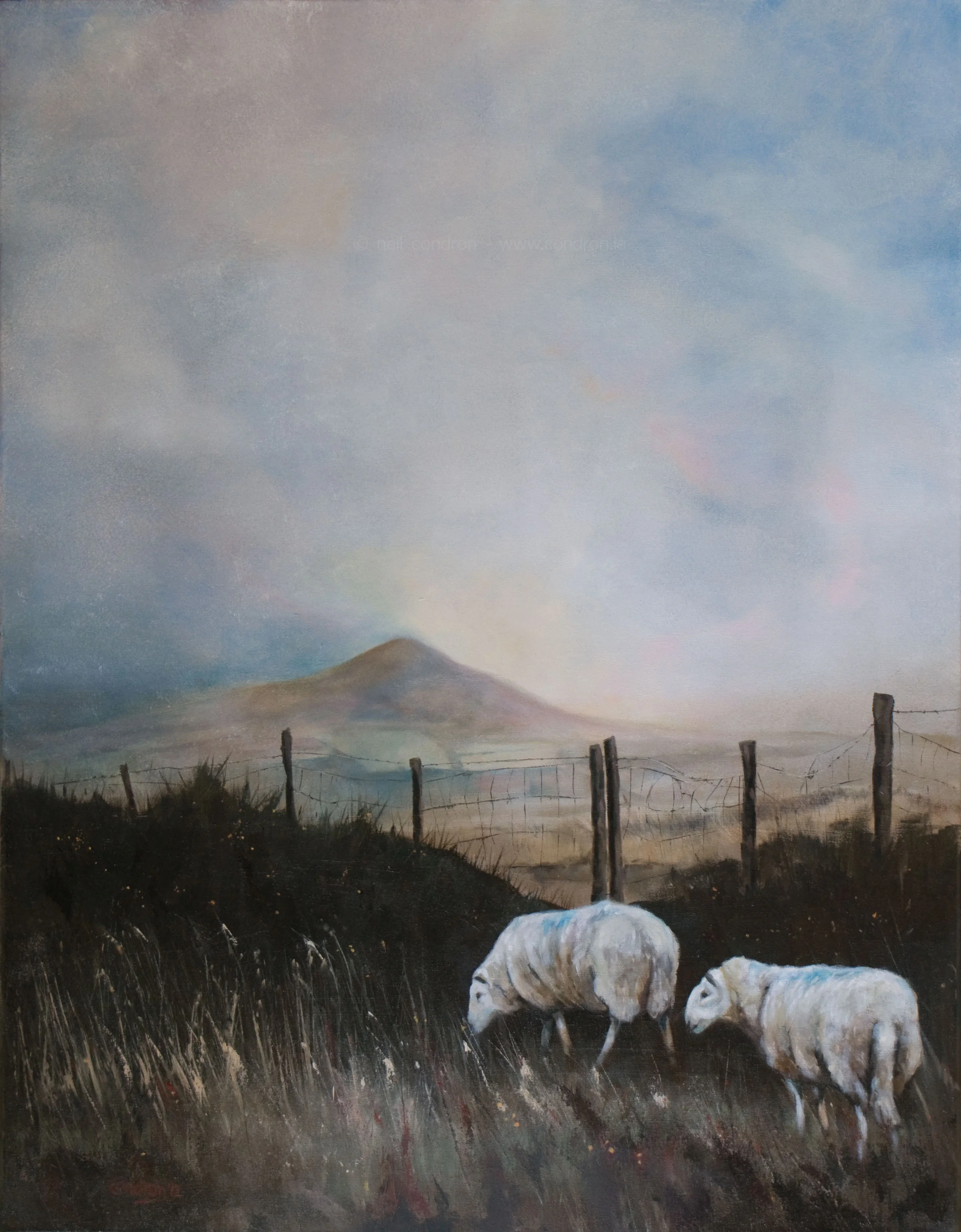 Two sheep and the Sugarloaf