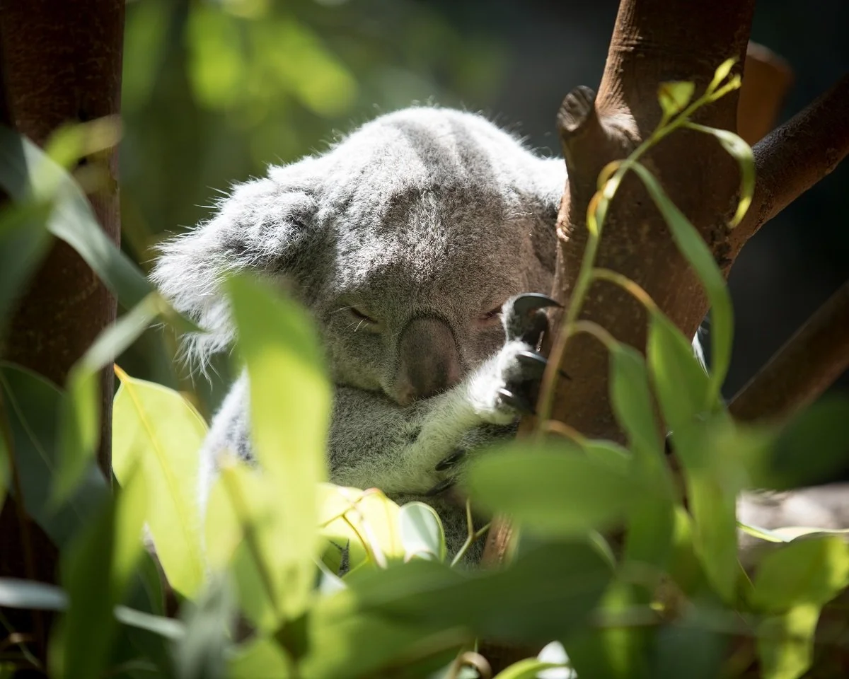 Columbus Zoo 9.jpg