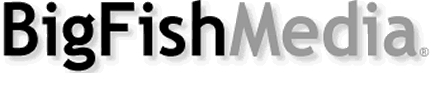 big-fish-media-logo