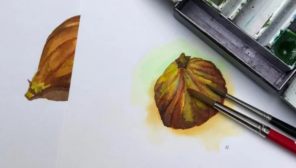 Figs