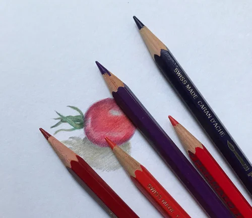 Colour pencils for a tiny tomato
