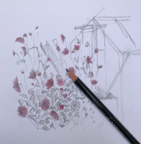 Drawing in the fading light