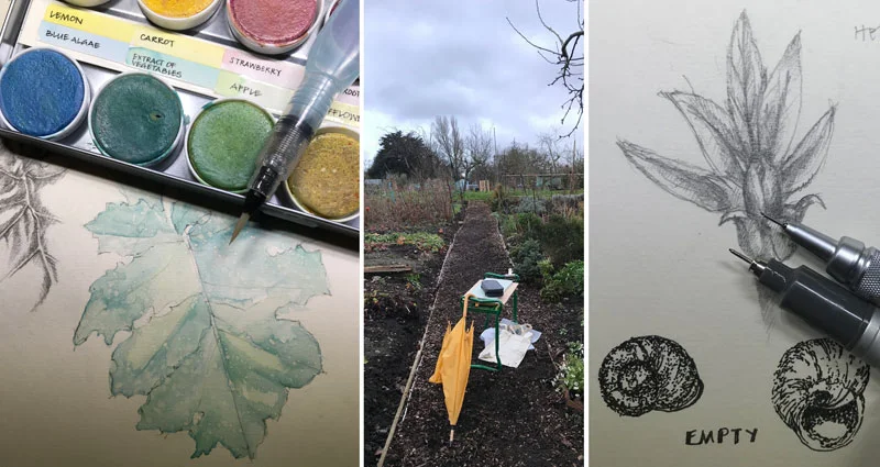 Leaves, bulbs, snails and the drawing perch