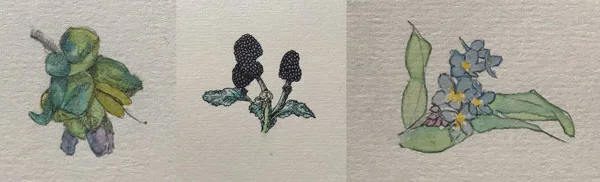 Hello, flowers and veg are beginning to surface above ground…