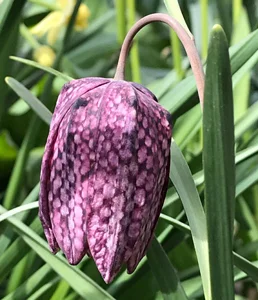 April 2019_2.jpg