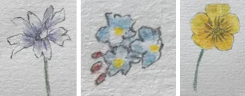 Tiny sketches