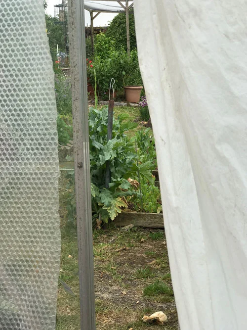 Hiding in a greenhouse