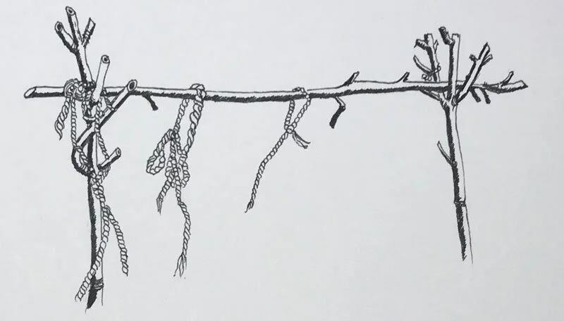 Interesting structures are dotted around the plots