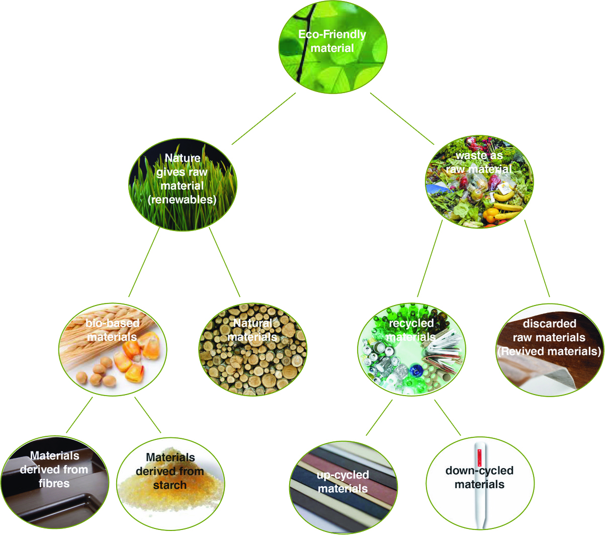 Division of Eco-Friendly Materials