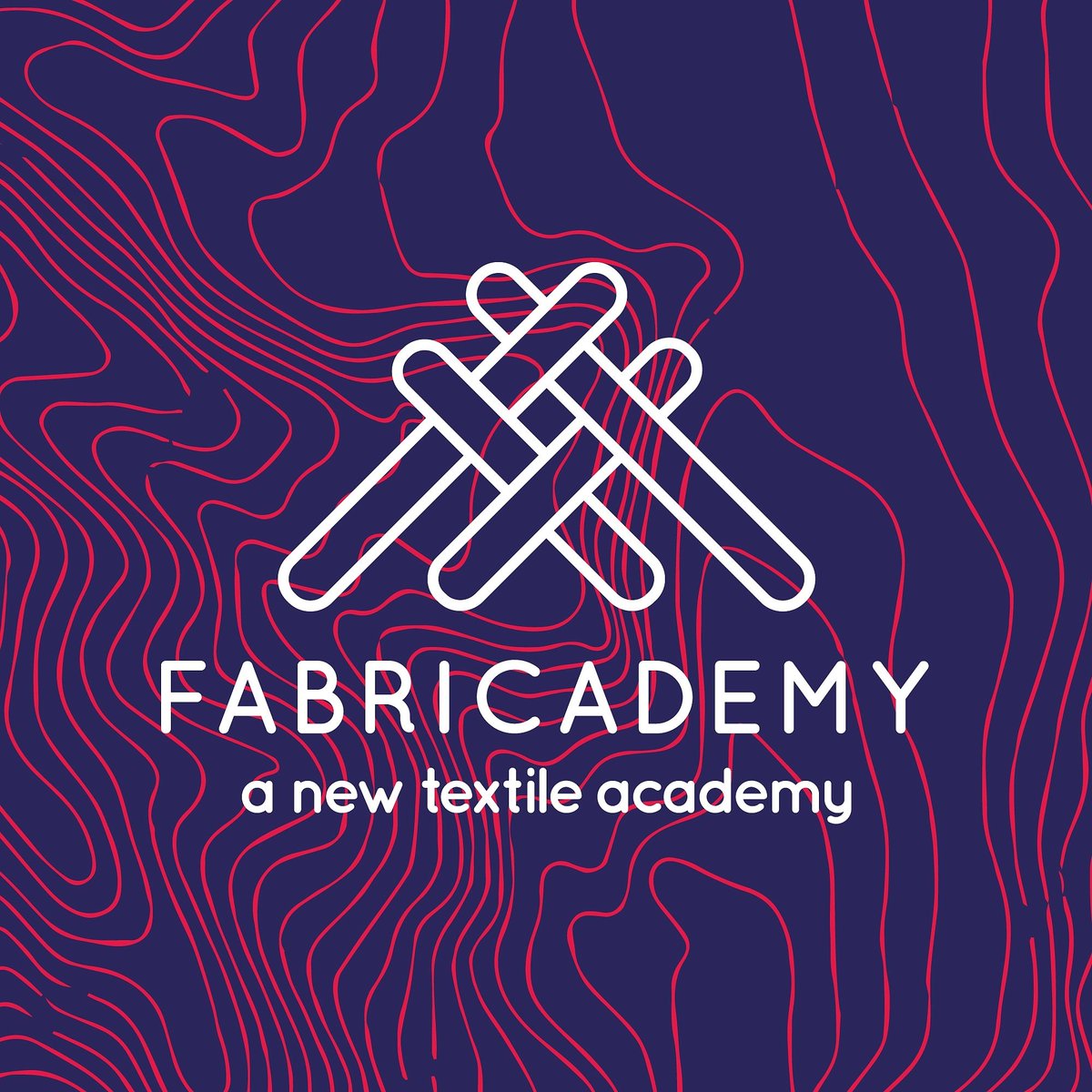 Camilo Ayala Garcia and Stefano Parisi lectured for Fabricademy