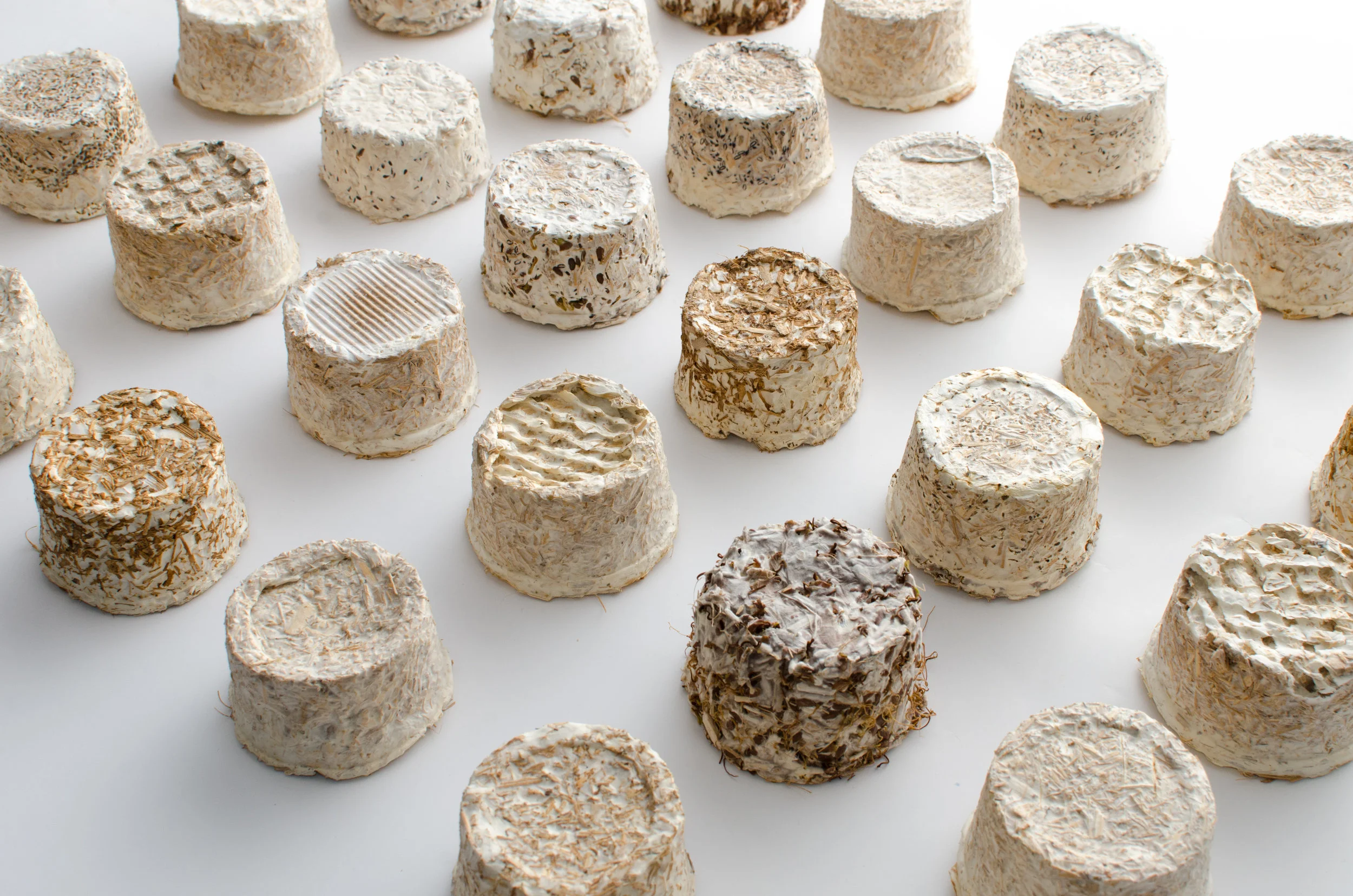 A Matter of Time. Mycelium experimentations enhancing imperfection, in Master’s Graduation project by Stefano Parisi. Tutor: Valentina Rognoli. Politecnico di Milano, School of Design, 2015.