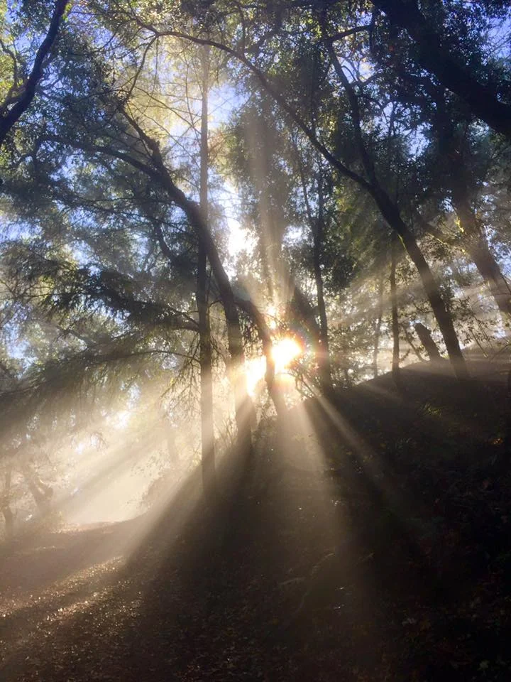 Fitch Mountain Morning.jpg