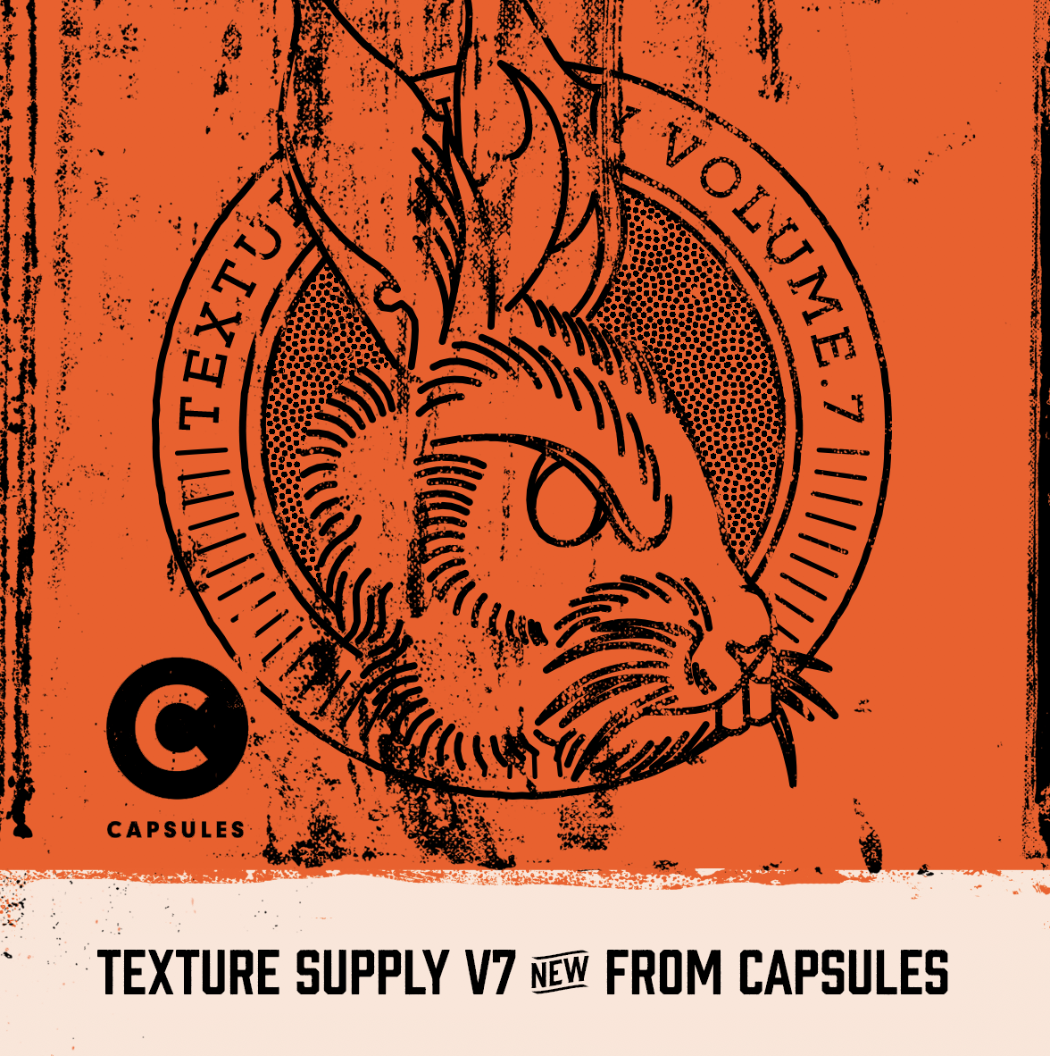 Texture Supply Volume.7