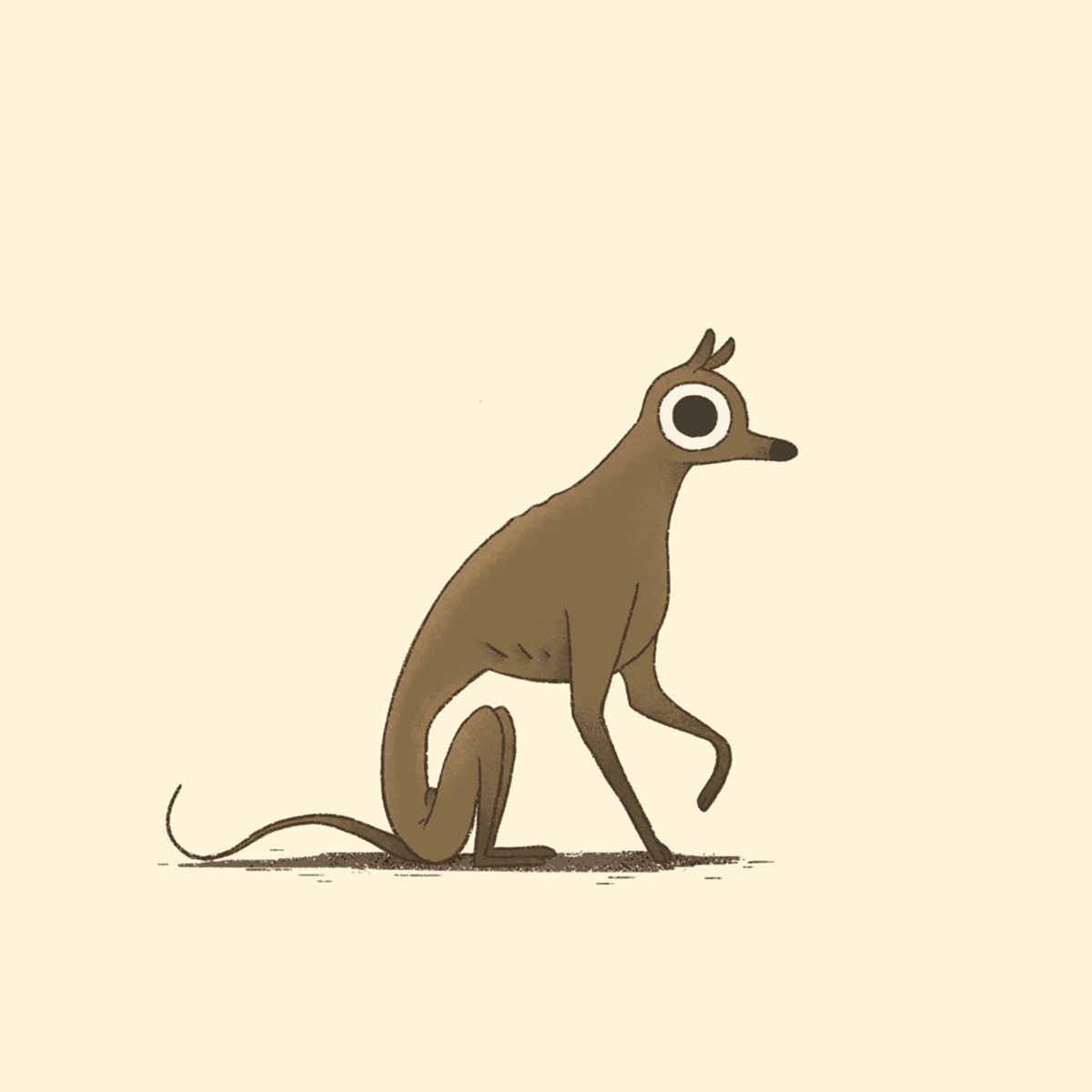 © Kajsa Råsten - Greyhound