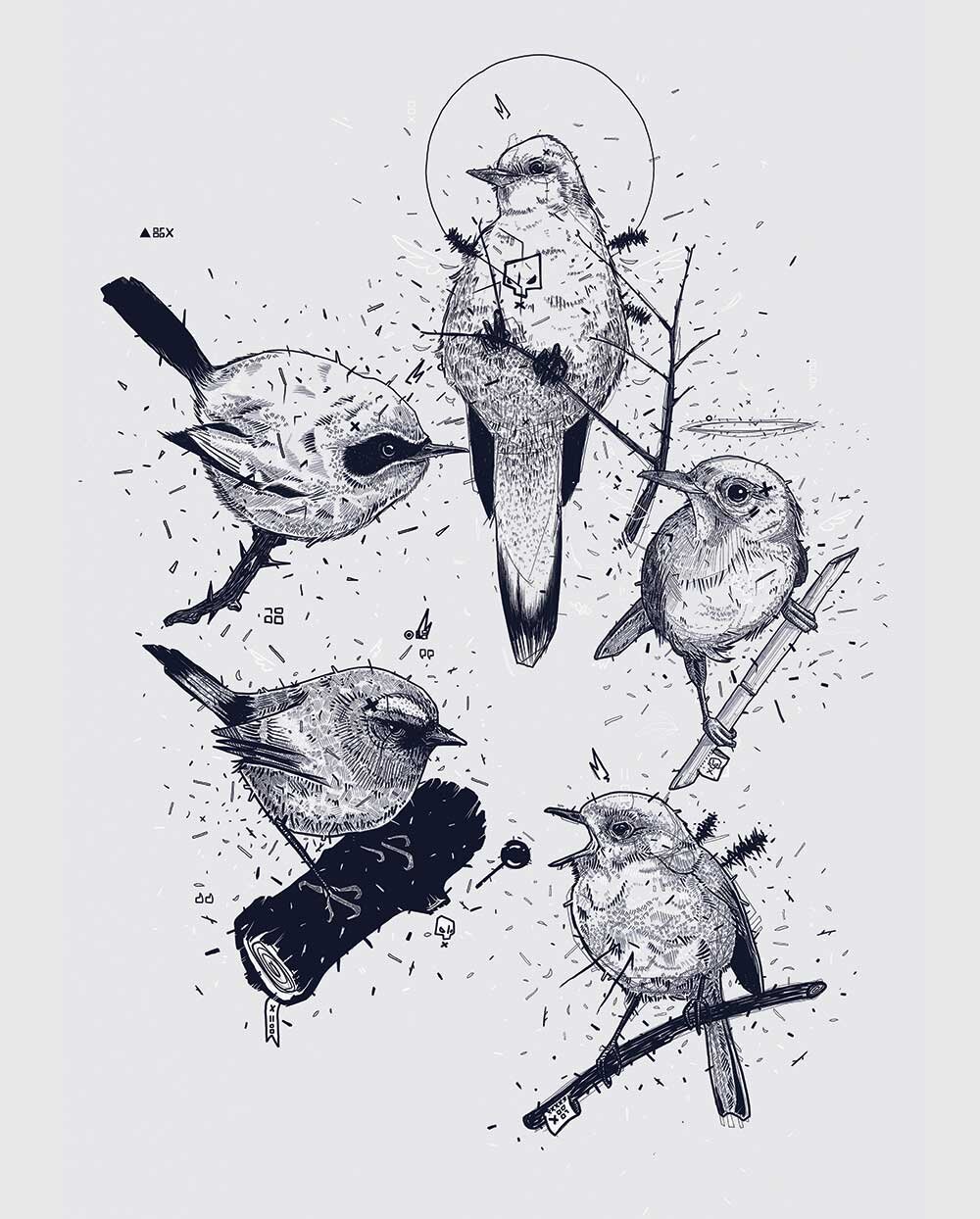 Birds-2019.jpg