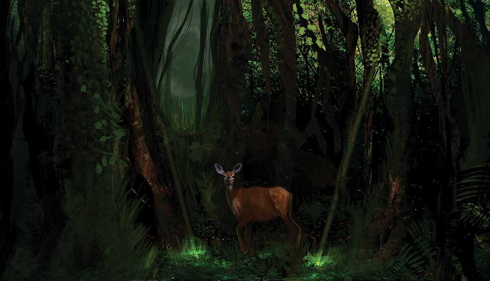 Deer-In-The-Forest-2018.jpg