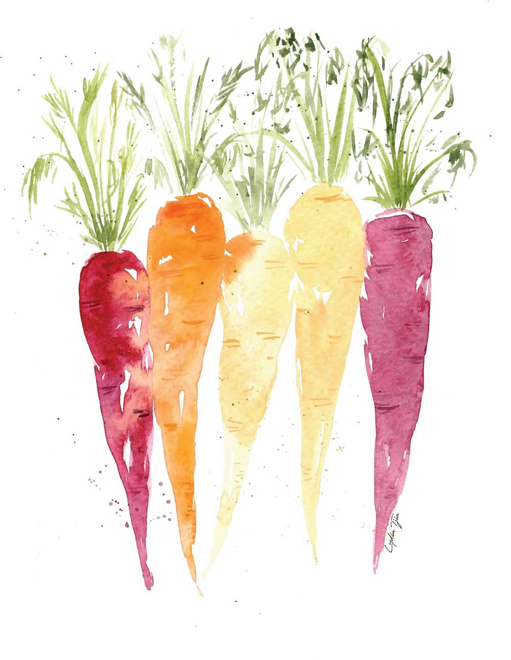 Carrots.jpg