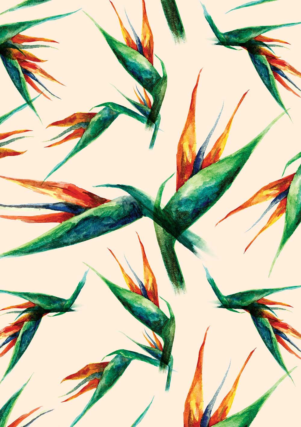 Bird-of-paradise-pattern-2016.jpg