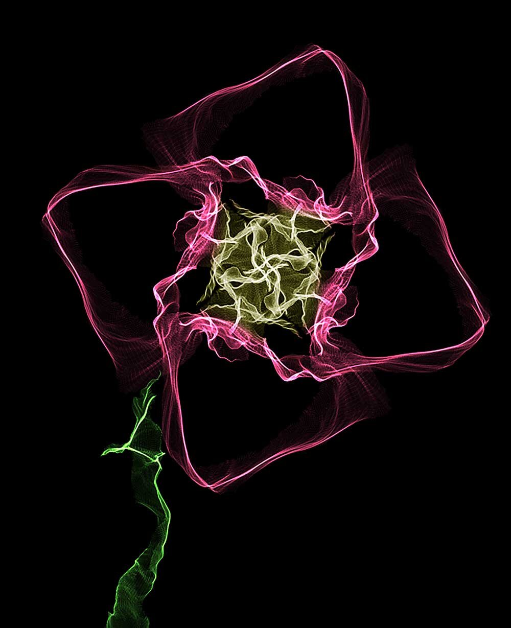 Abstract-Flower-2015.jpg
