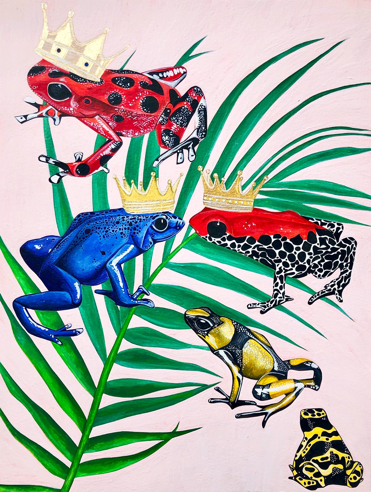 Poisonous Dart Frogs 2020.png