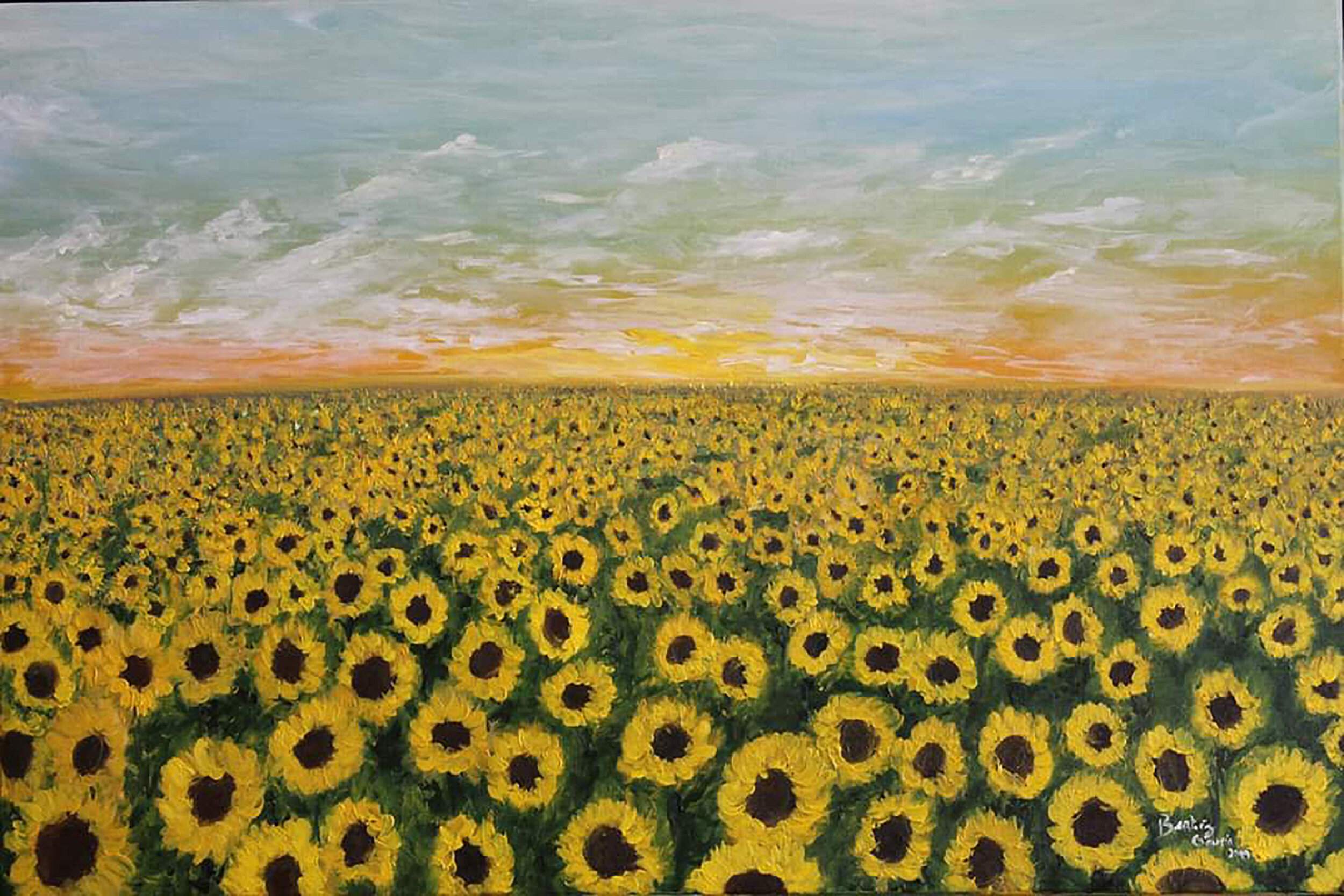 Sunflower-Field-2019.jpg