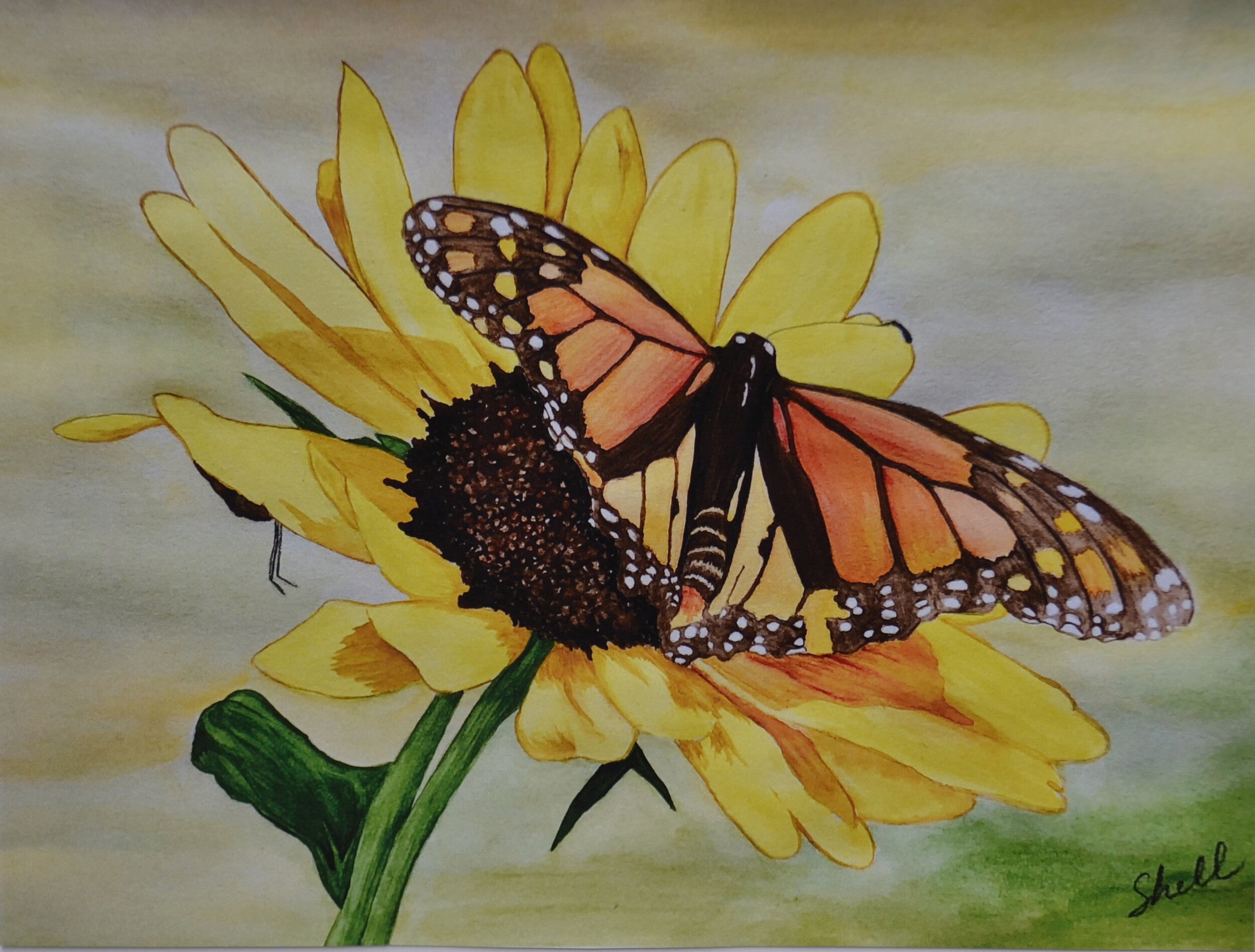 Butterfly-on-Sunflower-2019.jpg