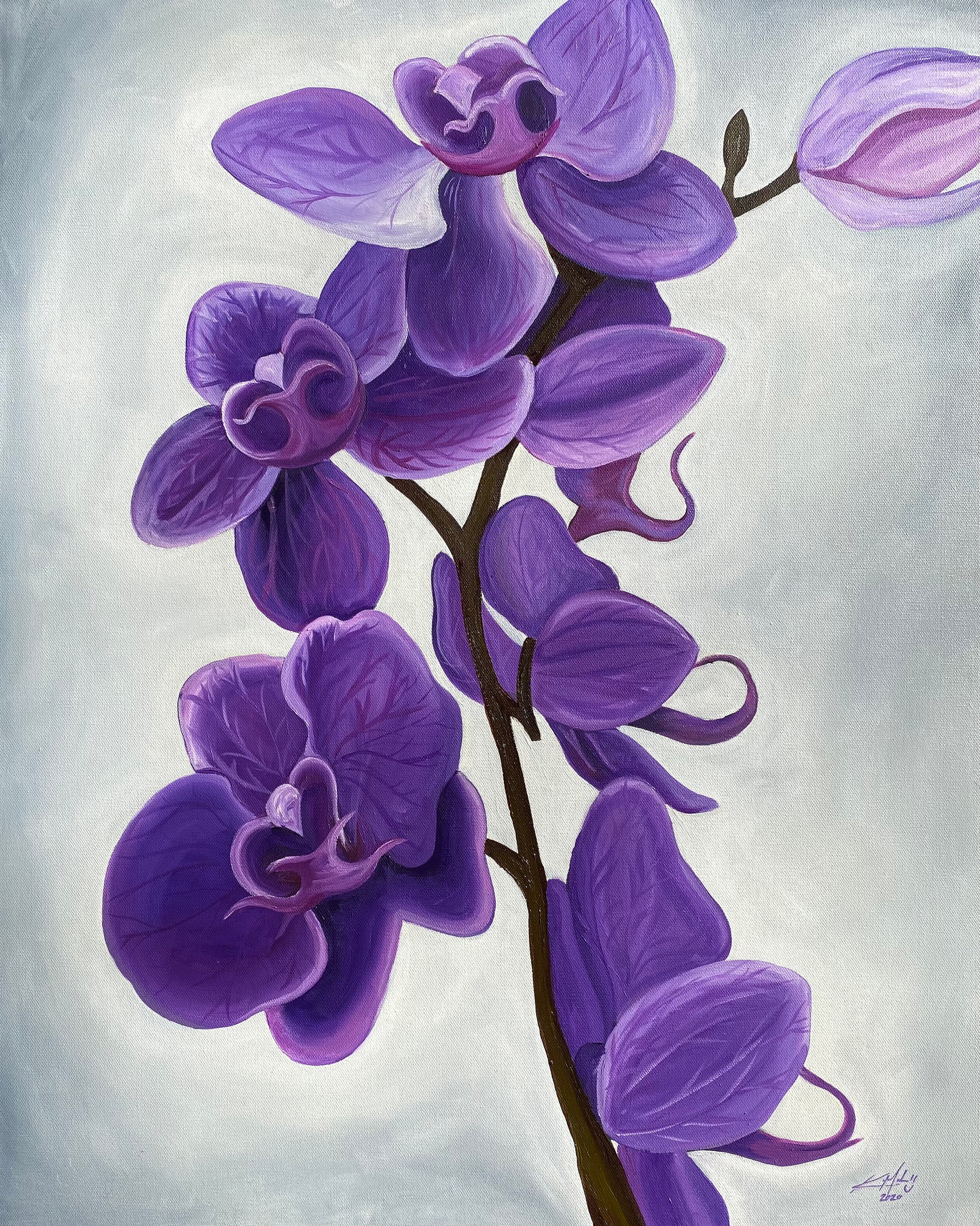 Purple_Orchid_2020.jpg
