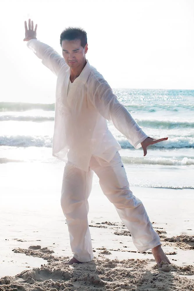 Tai Chi; Infinite Tai Chi