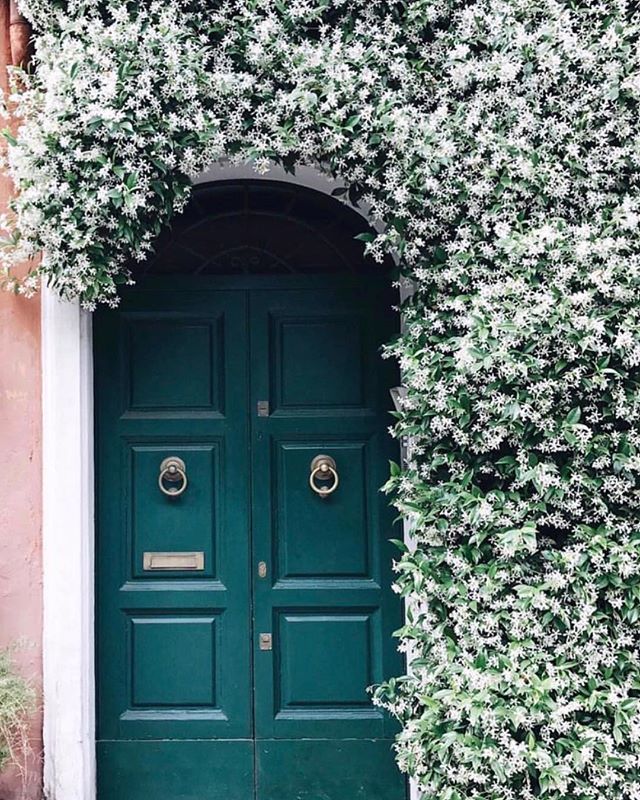 Traditional luscious entrance 🌳#statemententrance #classic #lushthis #wishlist #landscapedesign #interiordesign #interiorinspiration #interiordecorating #homedesign #brisbanebusiness  #brisbaneinteriors  #sohointeriors 📷 Pinterest