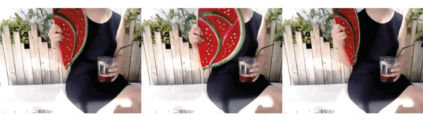 sandiastrip.jpg