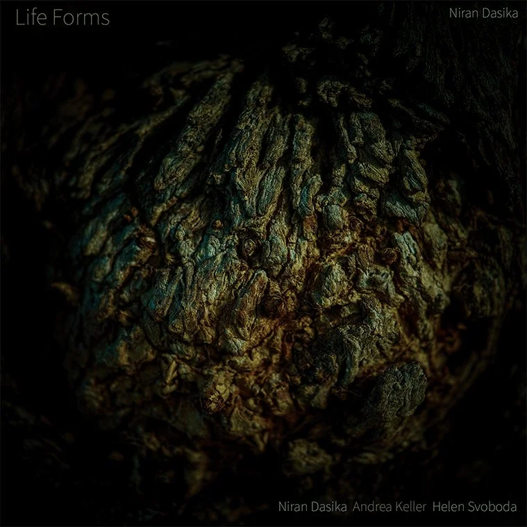 Niran Dasika&rsquo;s &lsquo;Life Forms&rsquo;, which was released on Earshift Music last year, has been featured in Ludovico Granvassu&rsquo;s best of list for 2025 in All About Jazz!

Read the full article via our link in bio!

#ausmusic #ausjazz #j