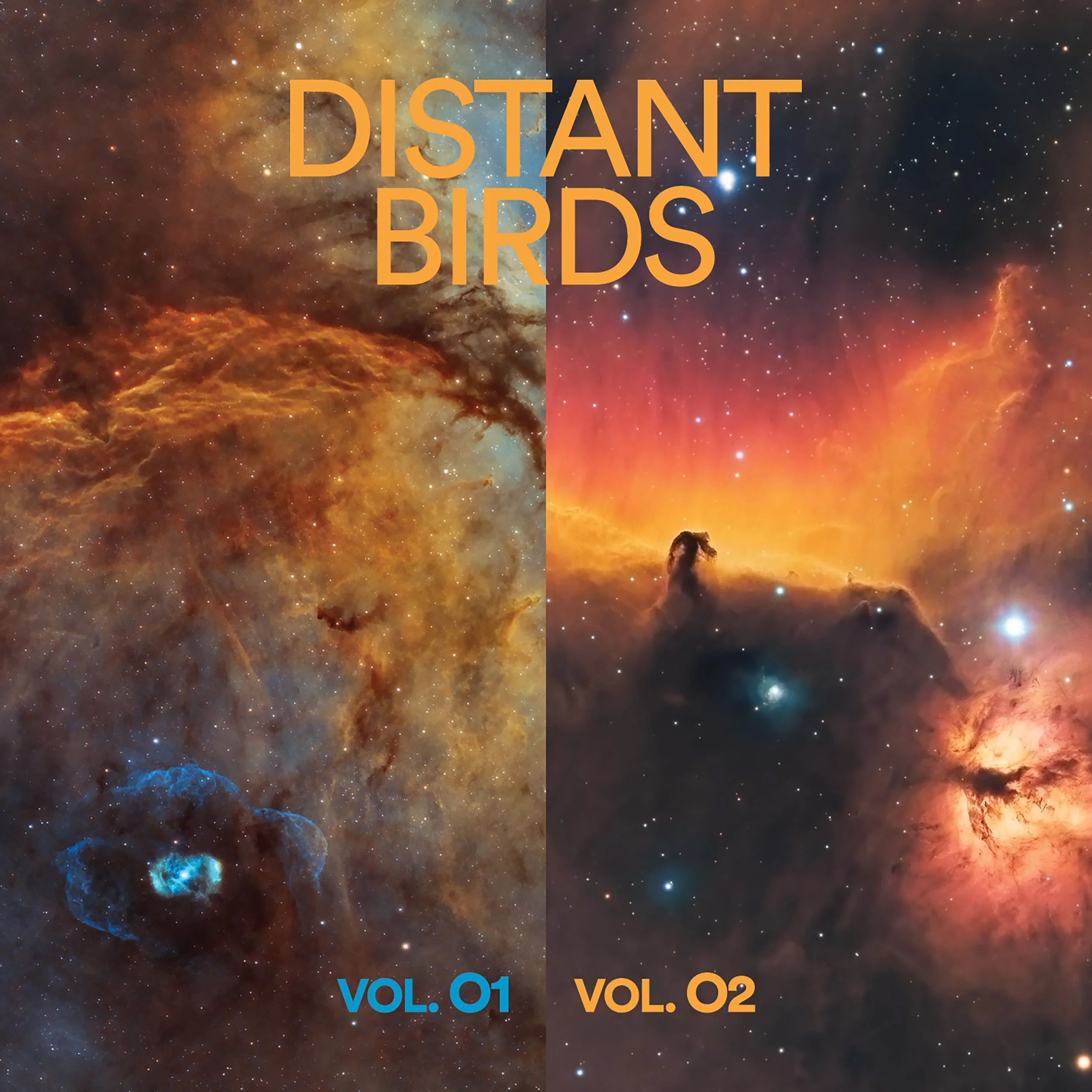 Chris Abrahams and Dave Symes - Distant Birds, VOL. 01 &amp; 02