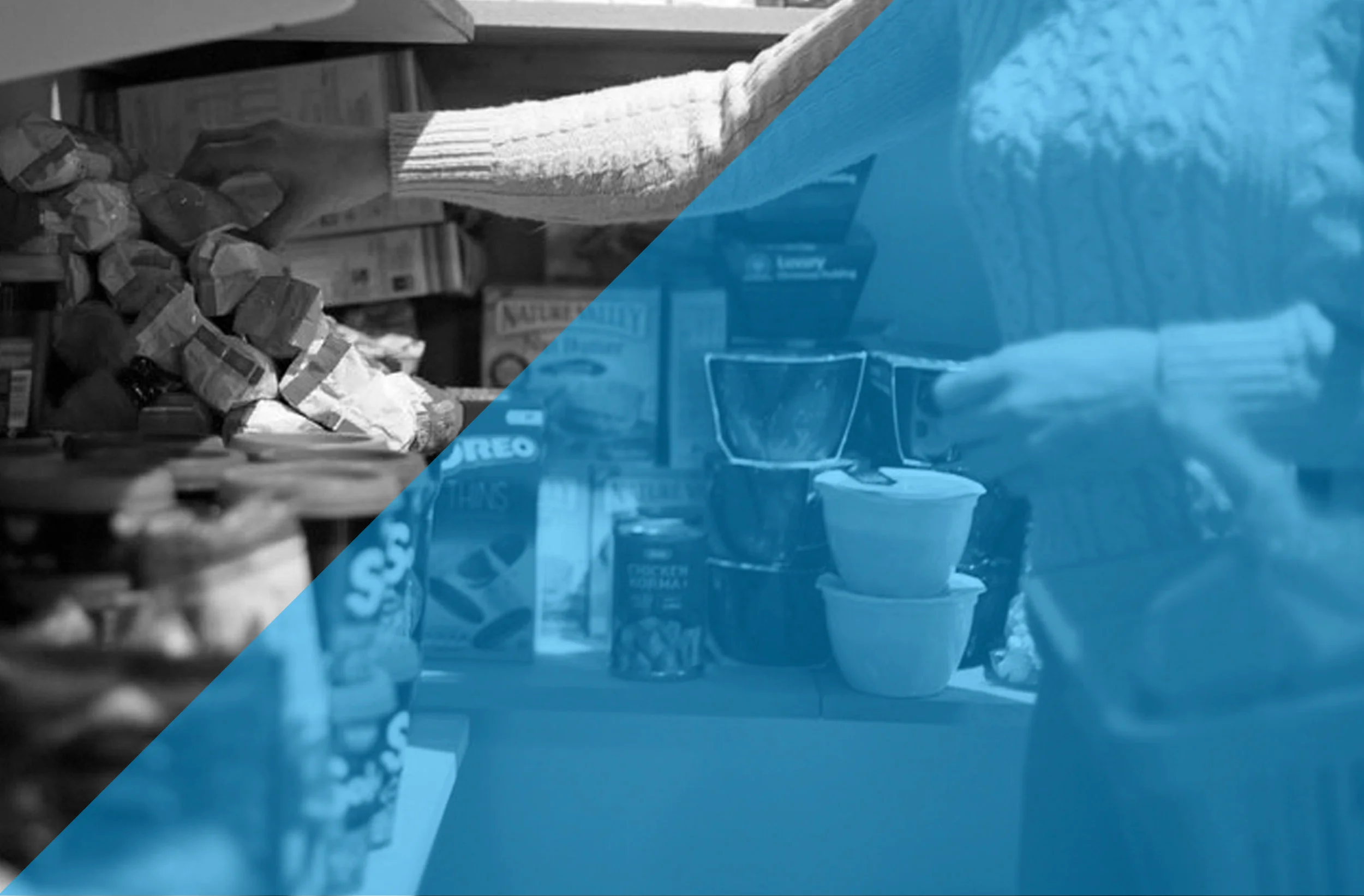 IIT Web Site FoodHub.jpg
