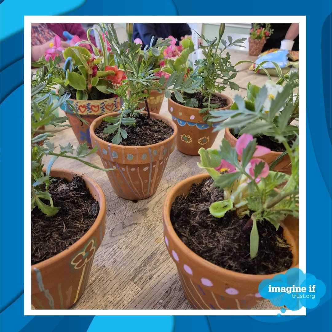 After painting our pots last week in Forever Young, today we've planted them up with beautiful spider plants and bedding plants ready to brighten up our houses&nbsp;and&nbsp;gardens! 🌼🌸🌻

#imagineiftrust #communityimpact #foreveryoung