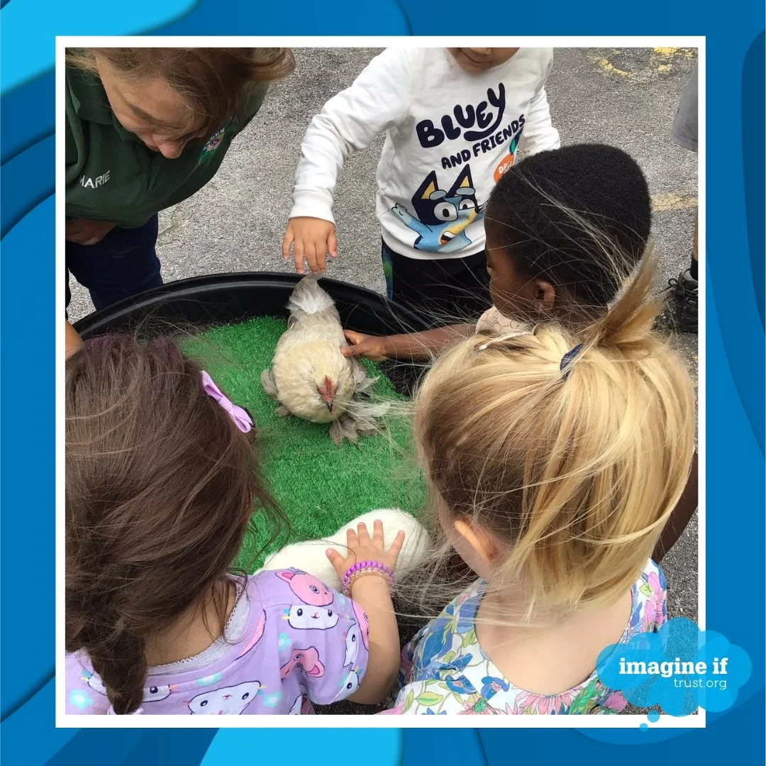 Our children at @stickyfingersdaynursery ad a great time this afternoon with @acornfarmkirkby visiting the nursery. 
They brought sheep, goats, chickens, a guinea pig, rabbits and a pet rat! The children (and staff) had a good time petting the animal