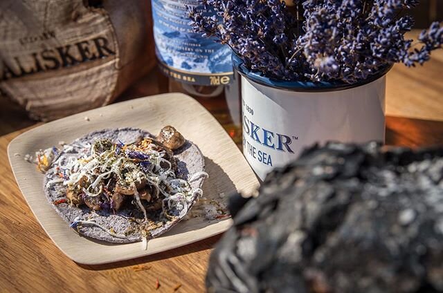 Wild mushroom, smoked chile, whisky, herb and goats cheese blue corn tacos with Hoja santa powder. Photo @lisapaarviophotography