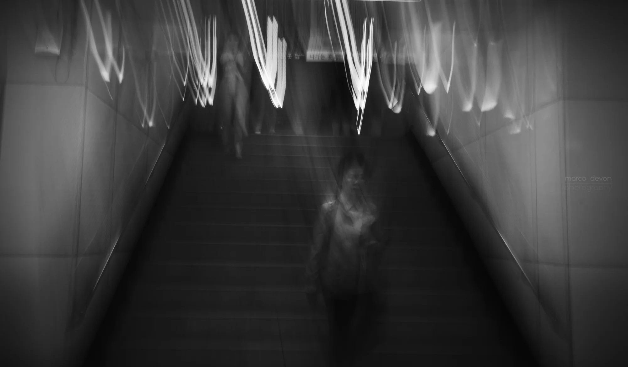 Do you know what you`re doing? | Seoul Photographer