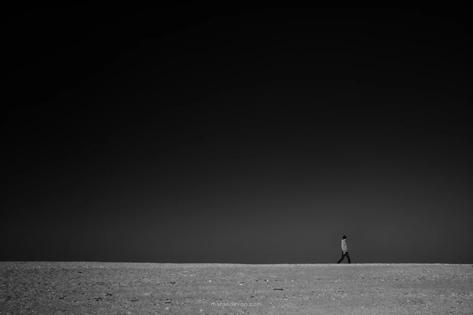 _DSF3515-Edit.jpg