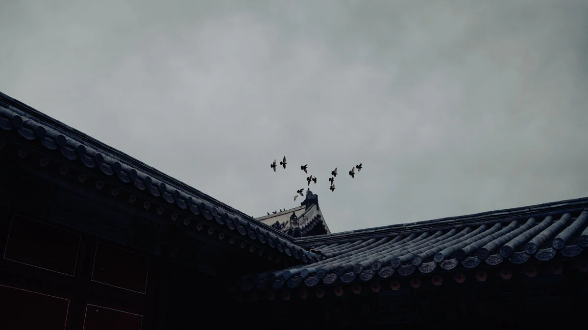 2019 Year In Review | Seoul Photographer