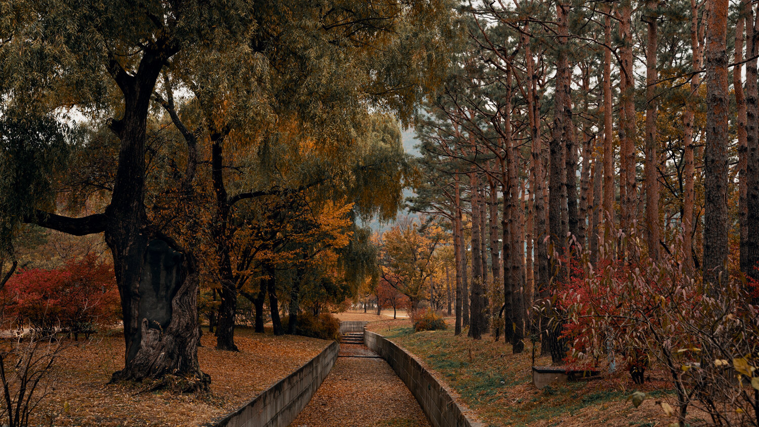 Gyeongbokgung - Fall | Seoul Photographer 