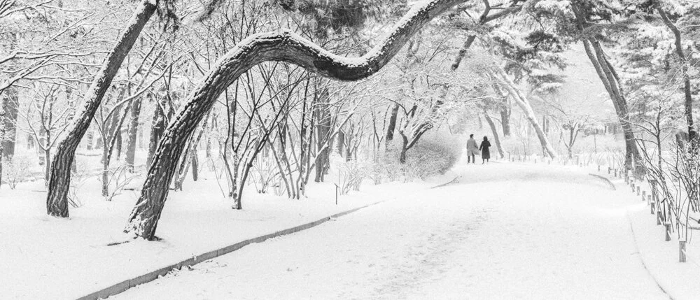 Monochrome Changgyeong Palace In Snow | Seoul Photographer