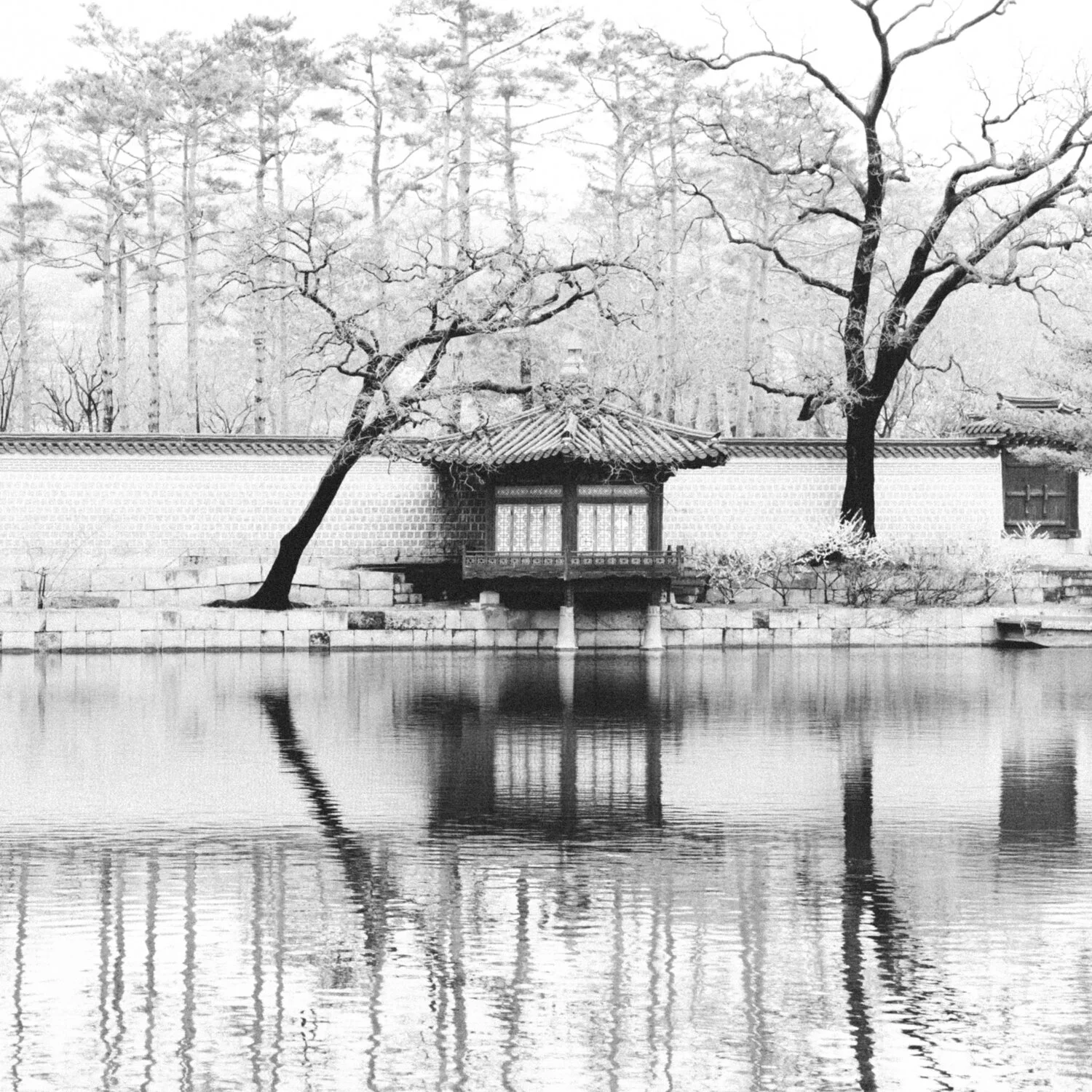 Sketches - March 2021 | Seoul Photographer