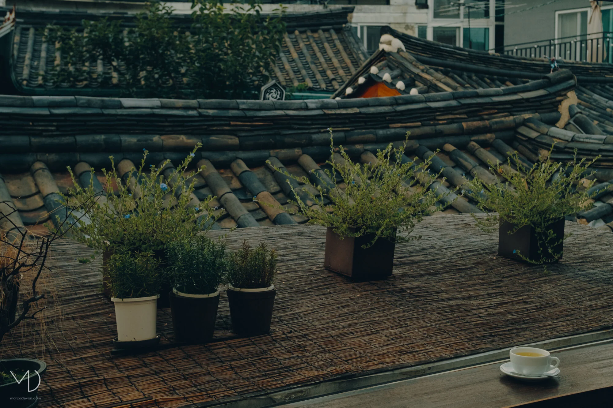 Seongbuk-Dong | Seoul Photographer