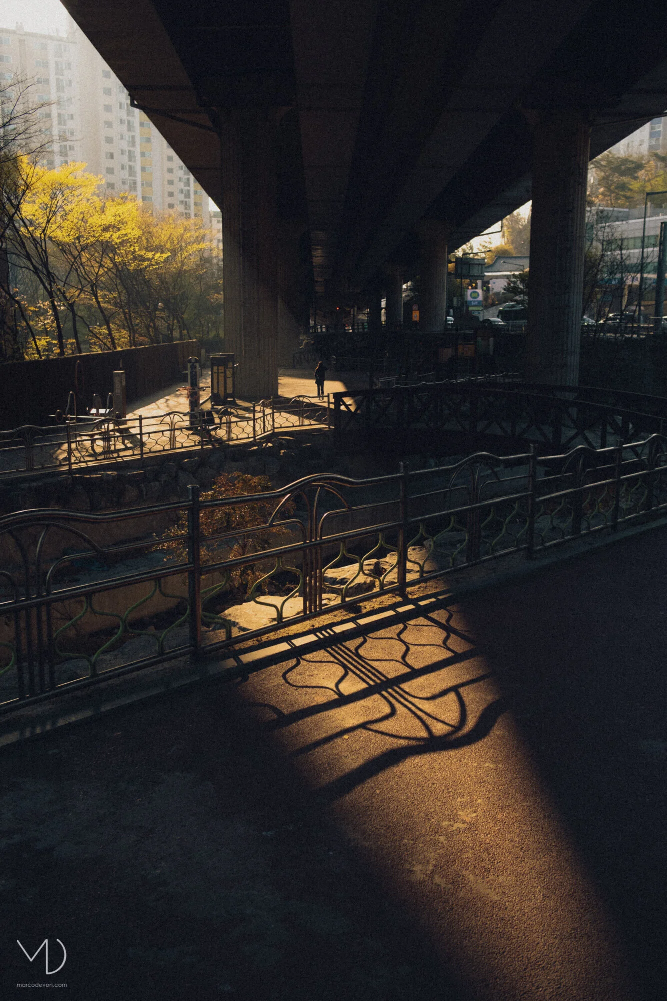 Early morning in Jeongneung | Seoul Photographer