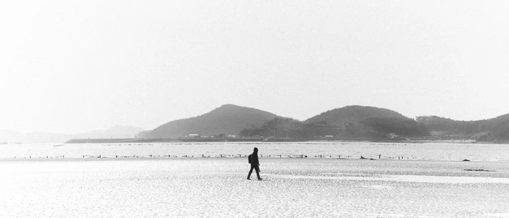 Minimalist monochromatic photograph of Seoul countryside.