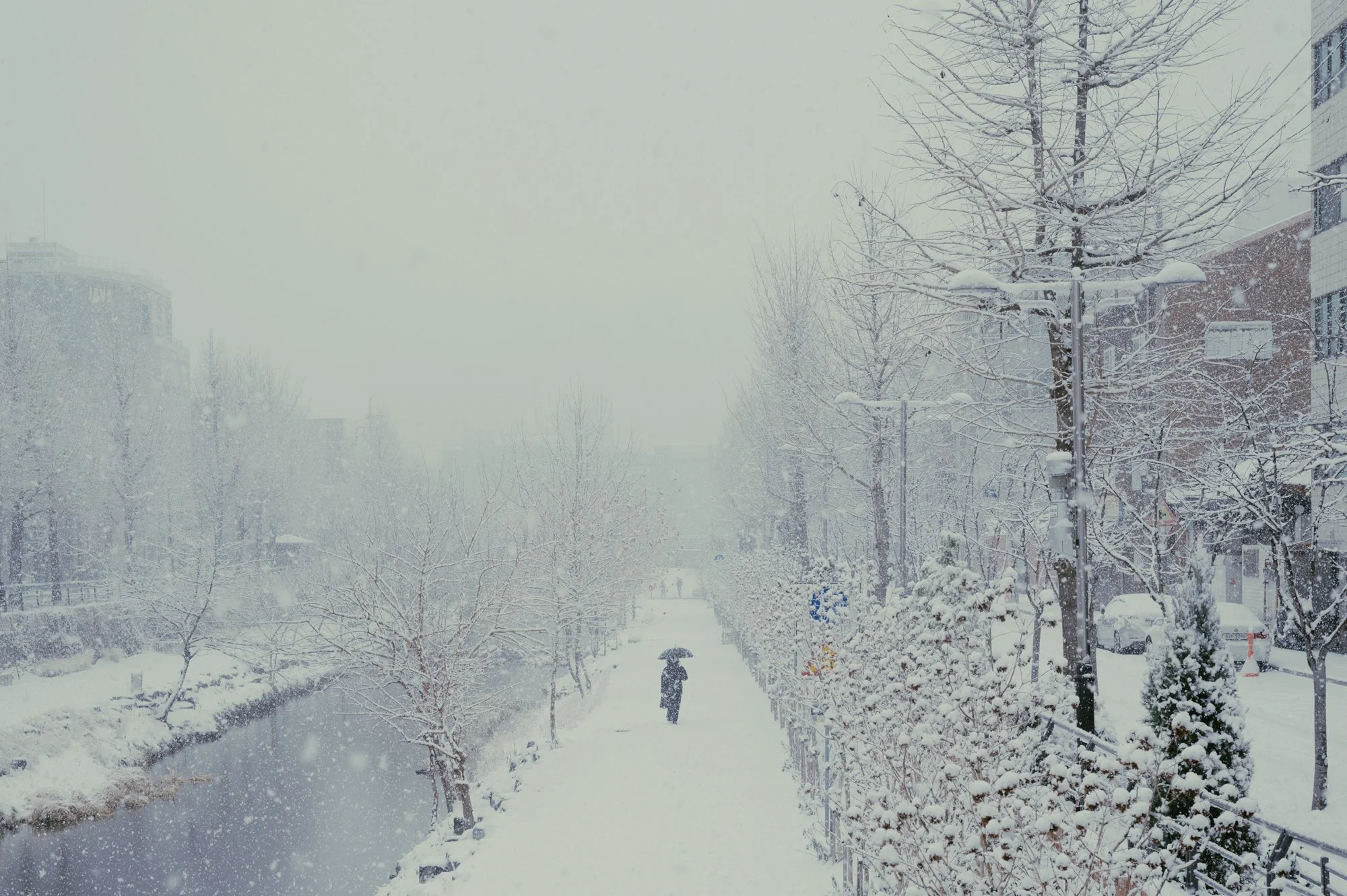 A lone figure walks in the snow in Seoul, South Korea.