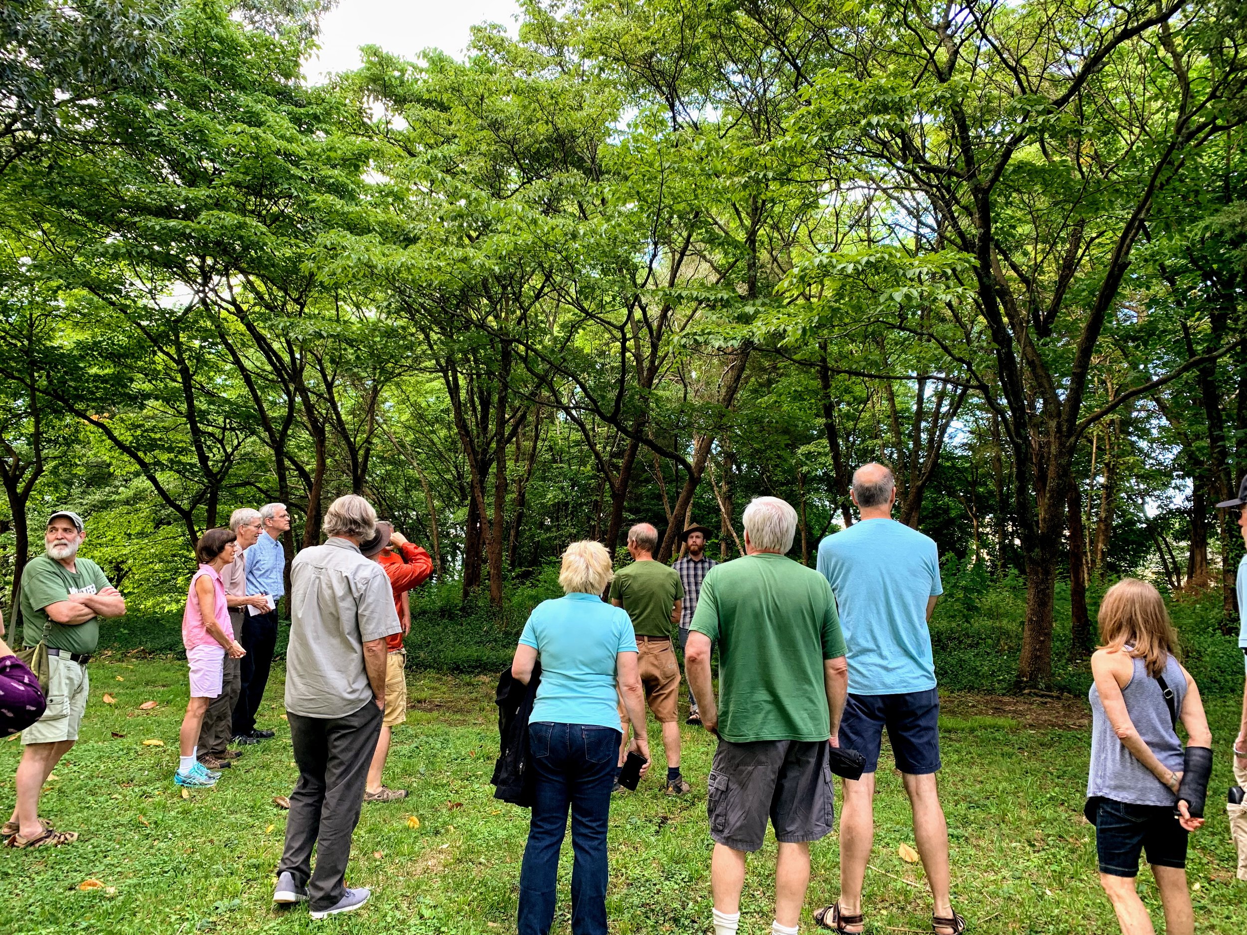 dogwoodgrove4.jpg