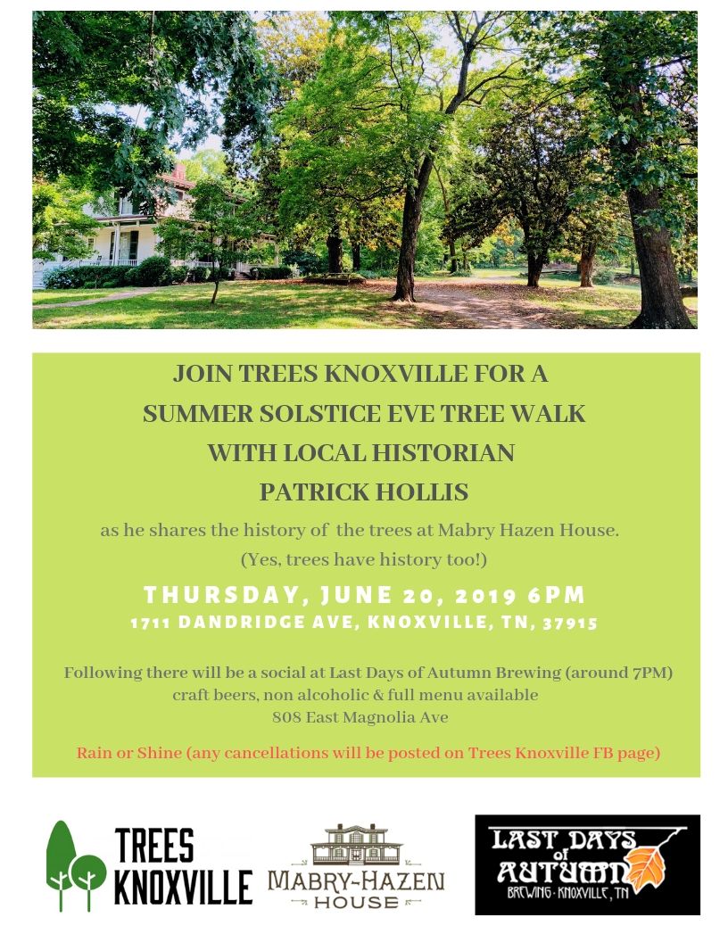 june 20 tree walk.jpg